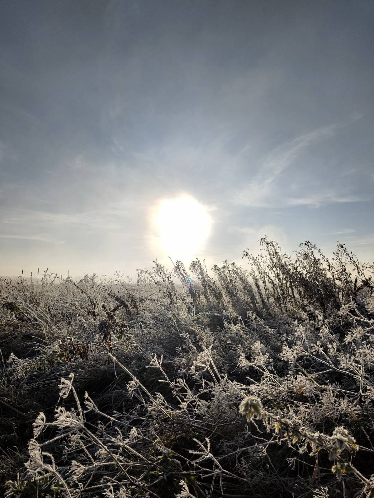 winter, sun